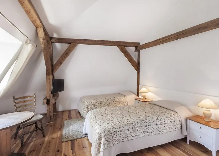 Vila Palac Zabytek Goscinny Ze